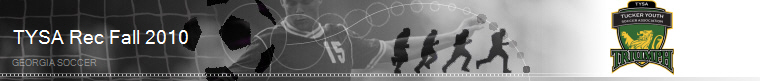 TYSA Rec Fall 2010 banner